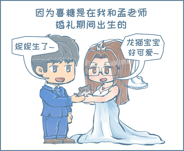 我叫喜糖（上）-第316话