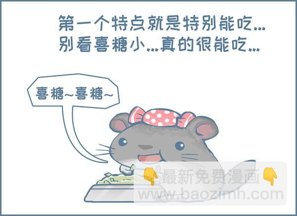 喜糖的特点（上）-第318话