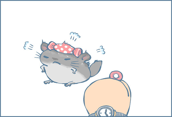 霸道的喜糖（下）-第326话