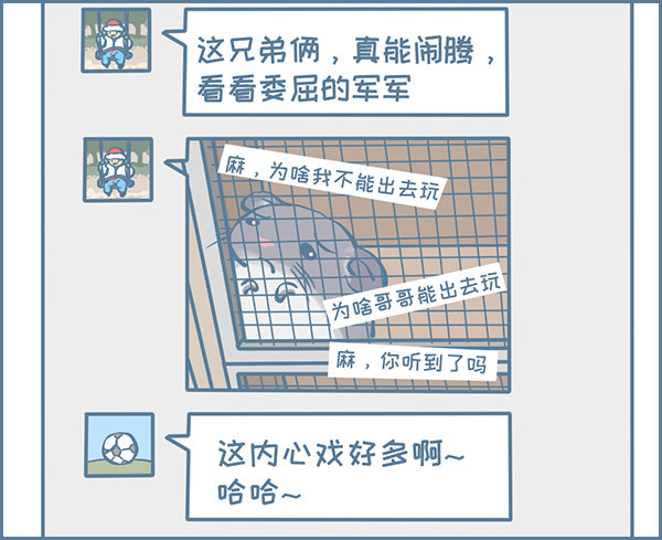 龙猫国儿&ldquo;越狱&rdquo;记（4）-第330话