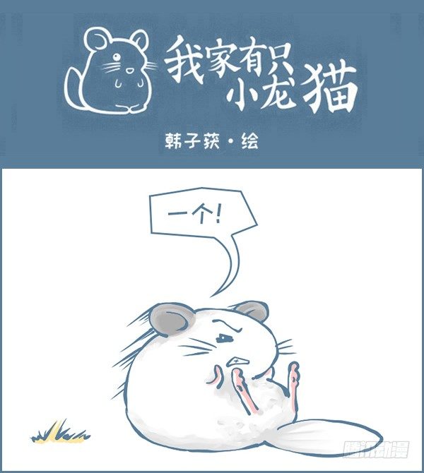 龙猫&ldquo;元宝&rdquo;的故事-2-第334话