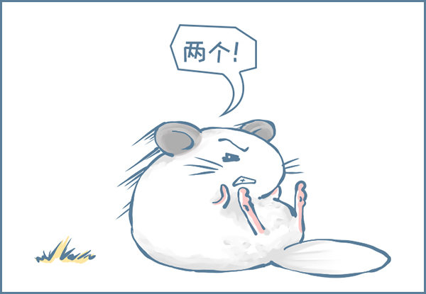 龙猫&ldquo;元宝&rdquo;的故事-2-第334话