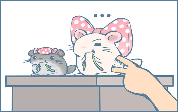 佛系妮妮（下）-第344话