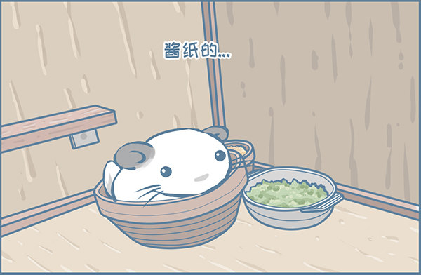 龙猫多肉的日常-第346话