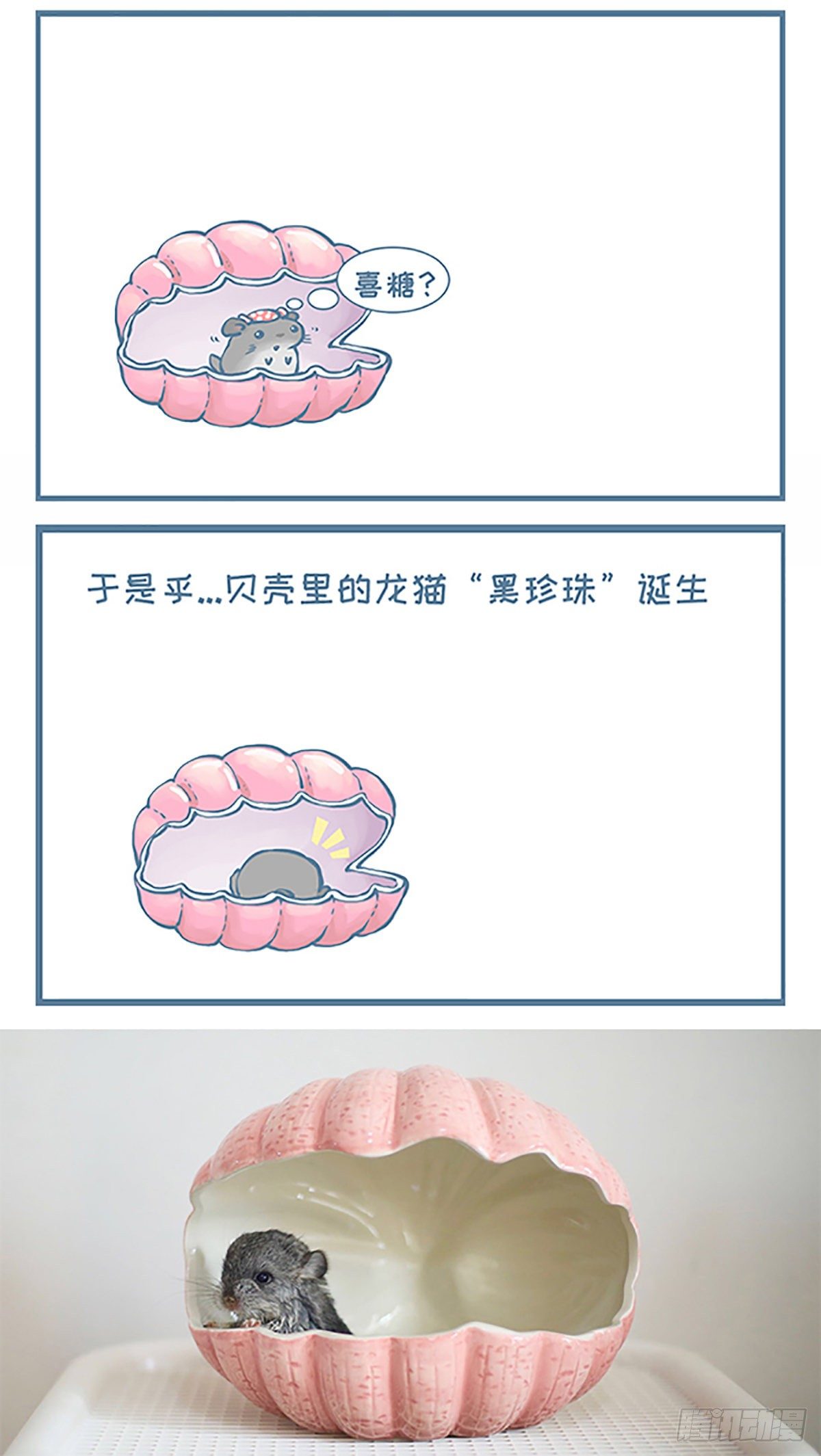 贝壳里的龙猫珍珠-第358话