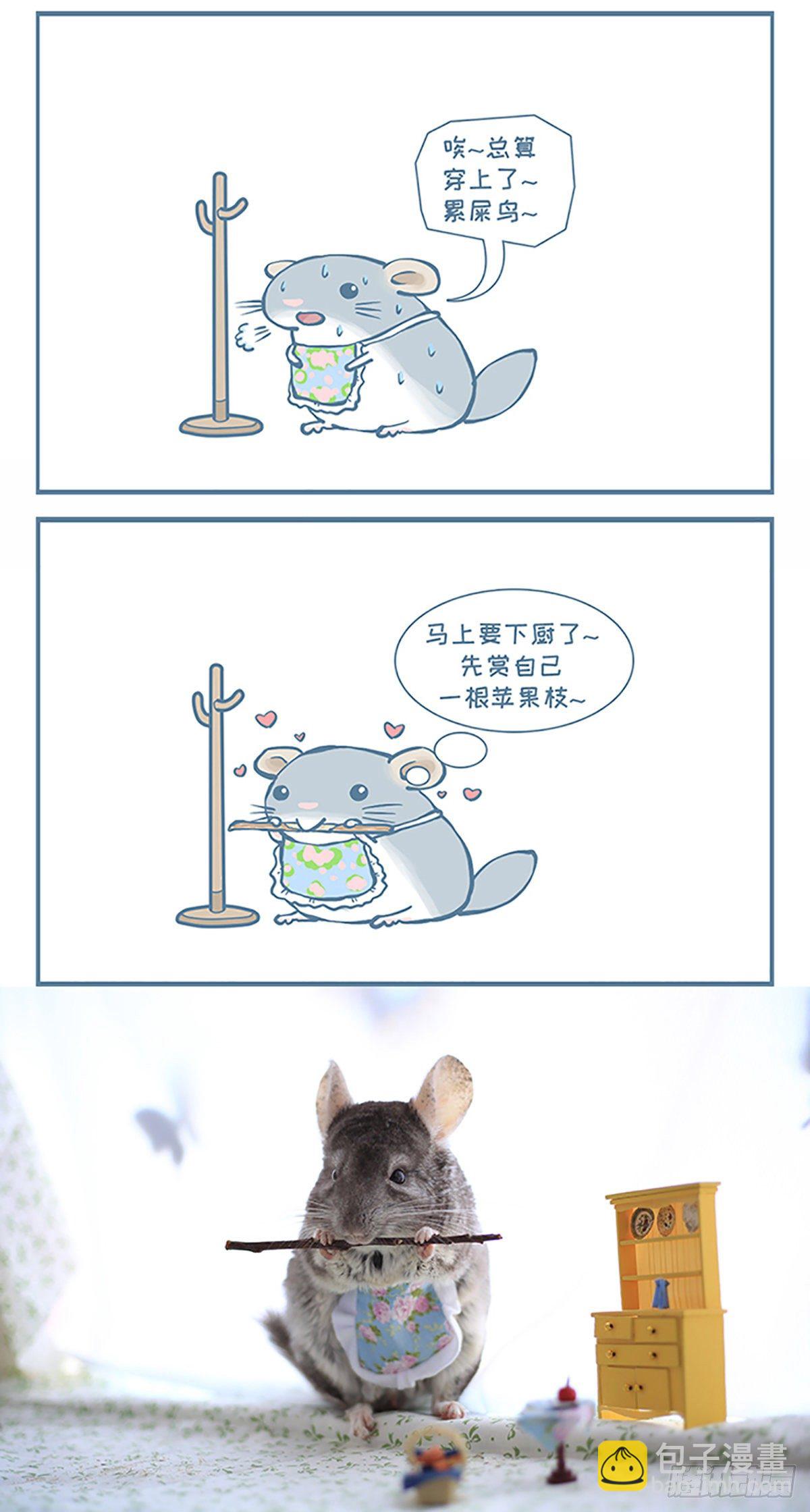 龙猫&ldquo;大脸&rdquo;要下厨了（上）-第360话