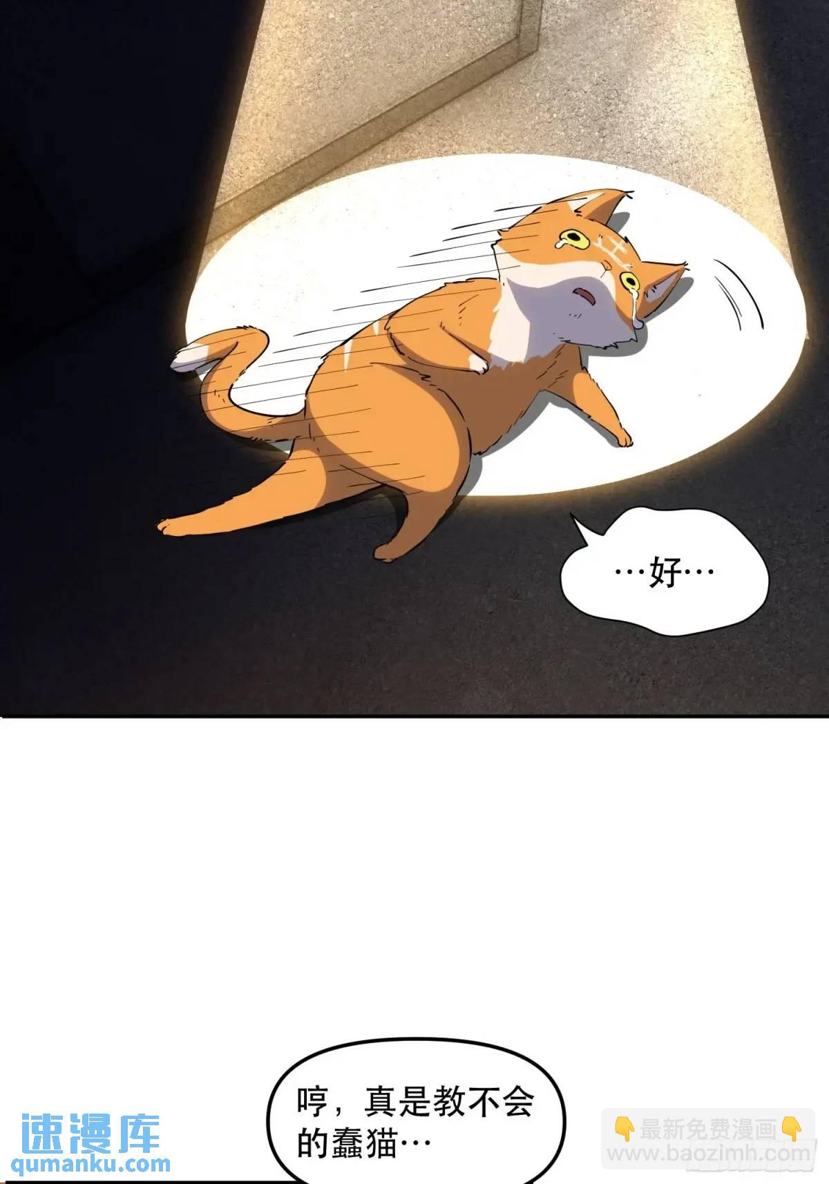 22-强力猫猫也有苦(1/2)-第22话