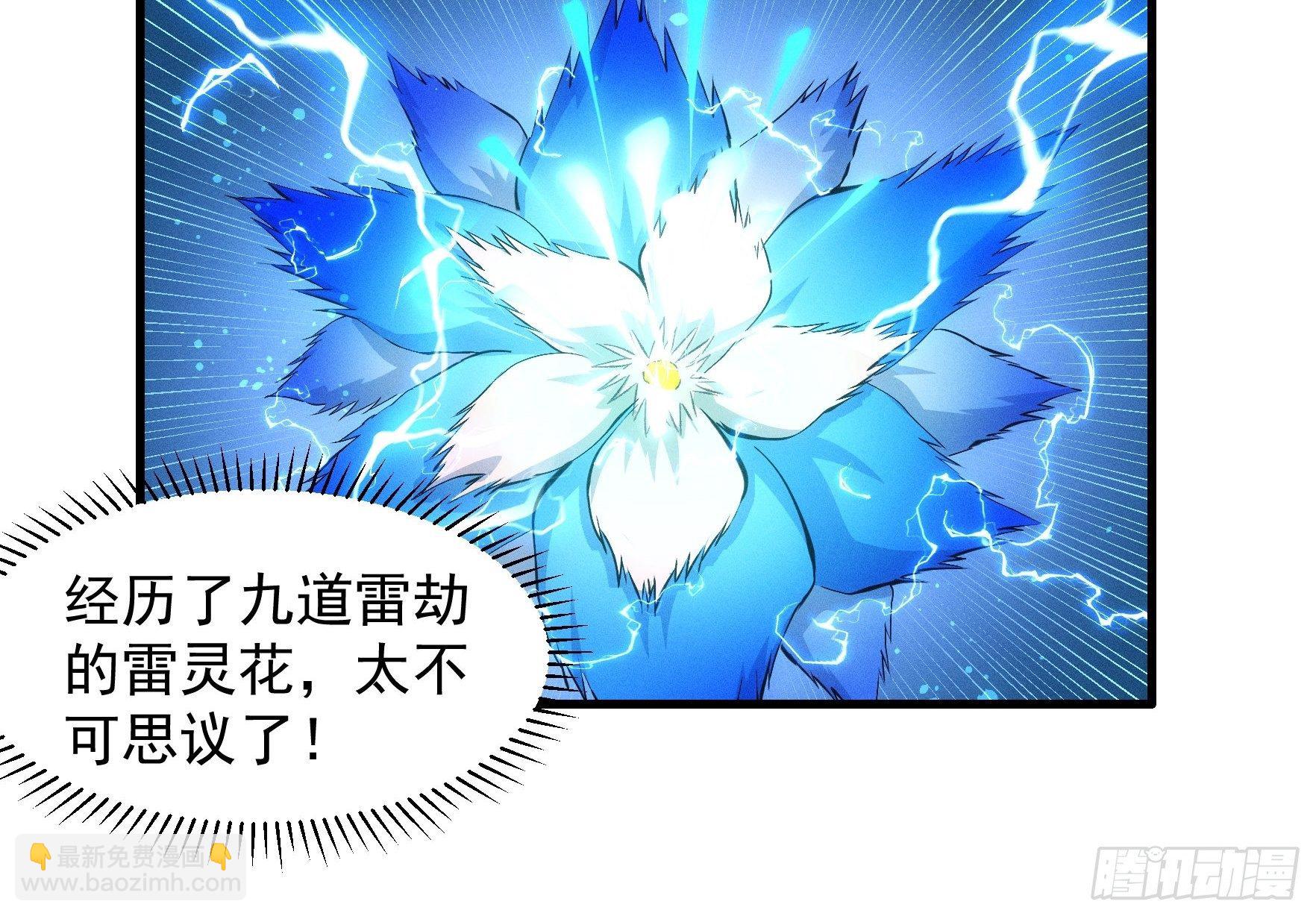 第45话 雷灵花-第48话