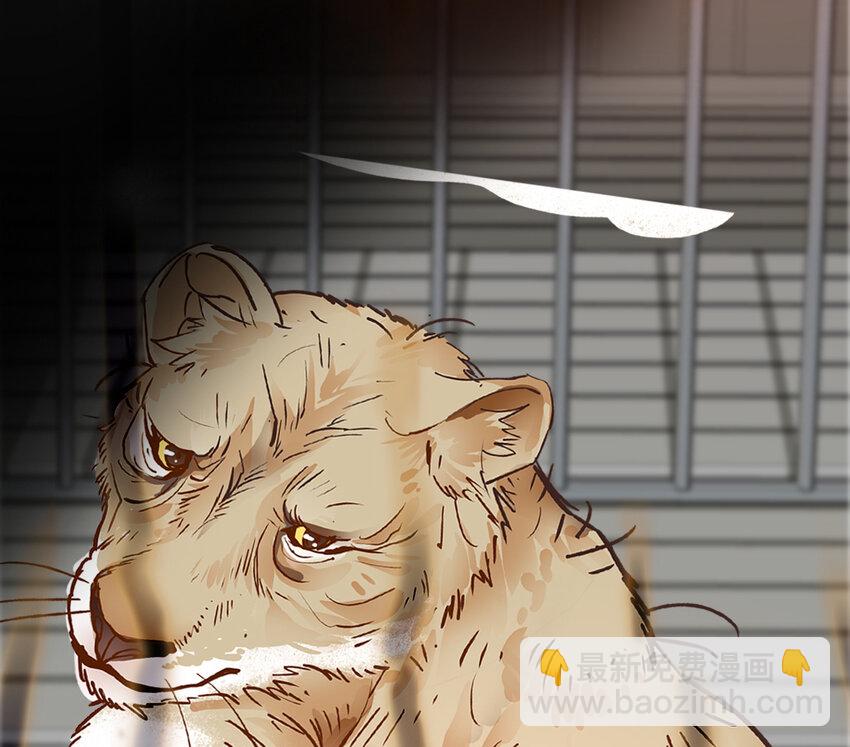 034 狮子欢欢(1/2)-第34话