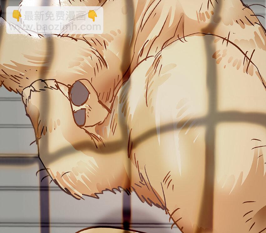 034 狮子欢欢(1/2)-第34话