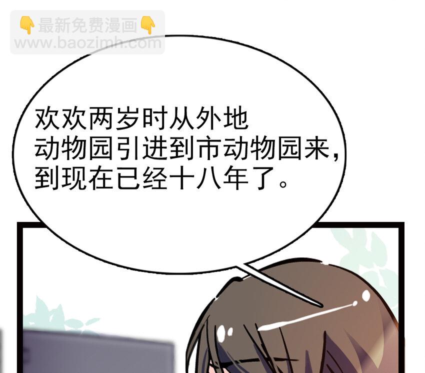 034 狮子欢欢(1/2)-第34话