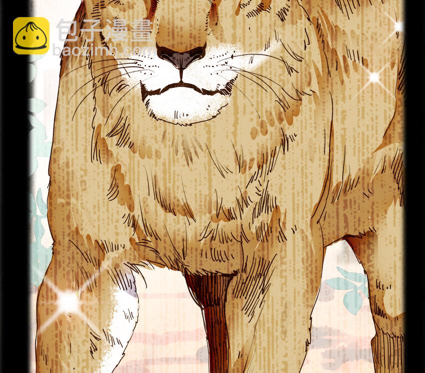 034 狮子欢欢(1/2)-第34话