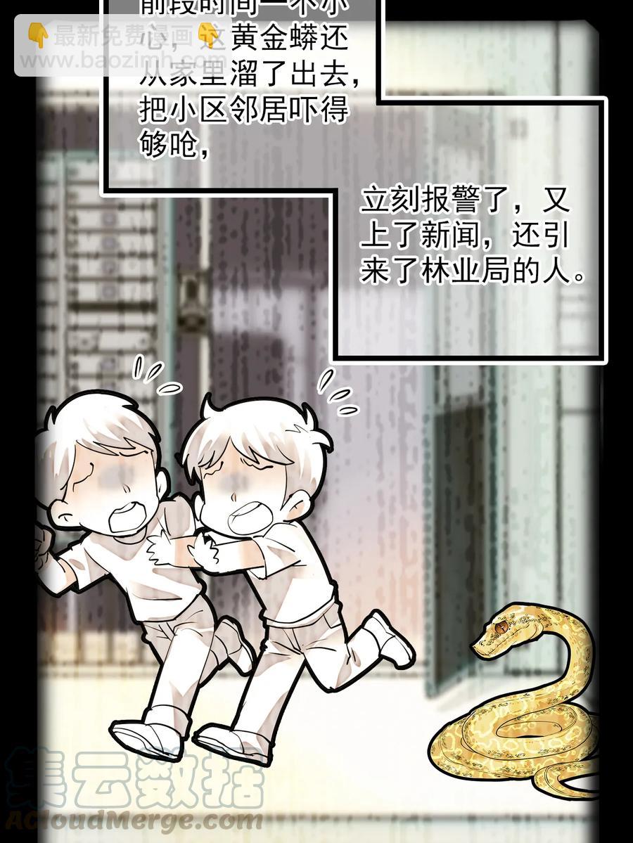 052 黄金蟒-第52话