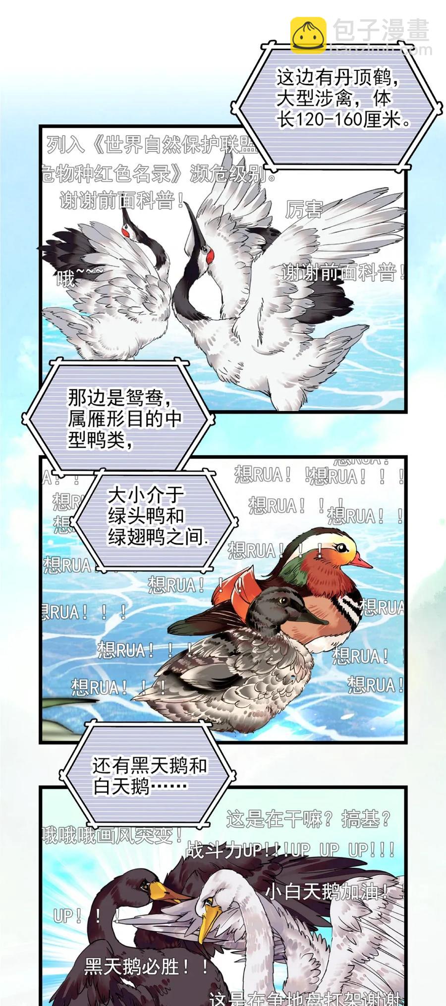 096 小试直播-第90话