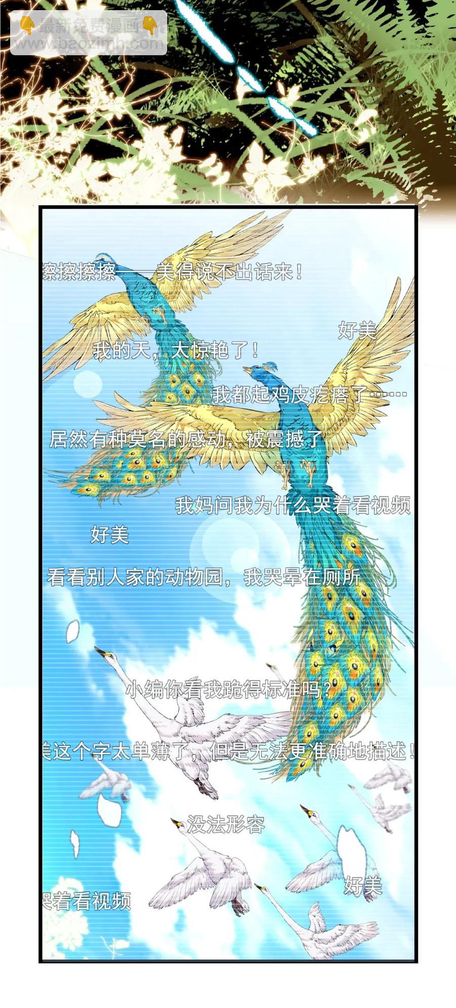 096 小试直播-第90话