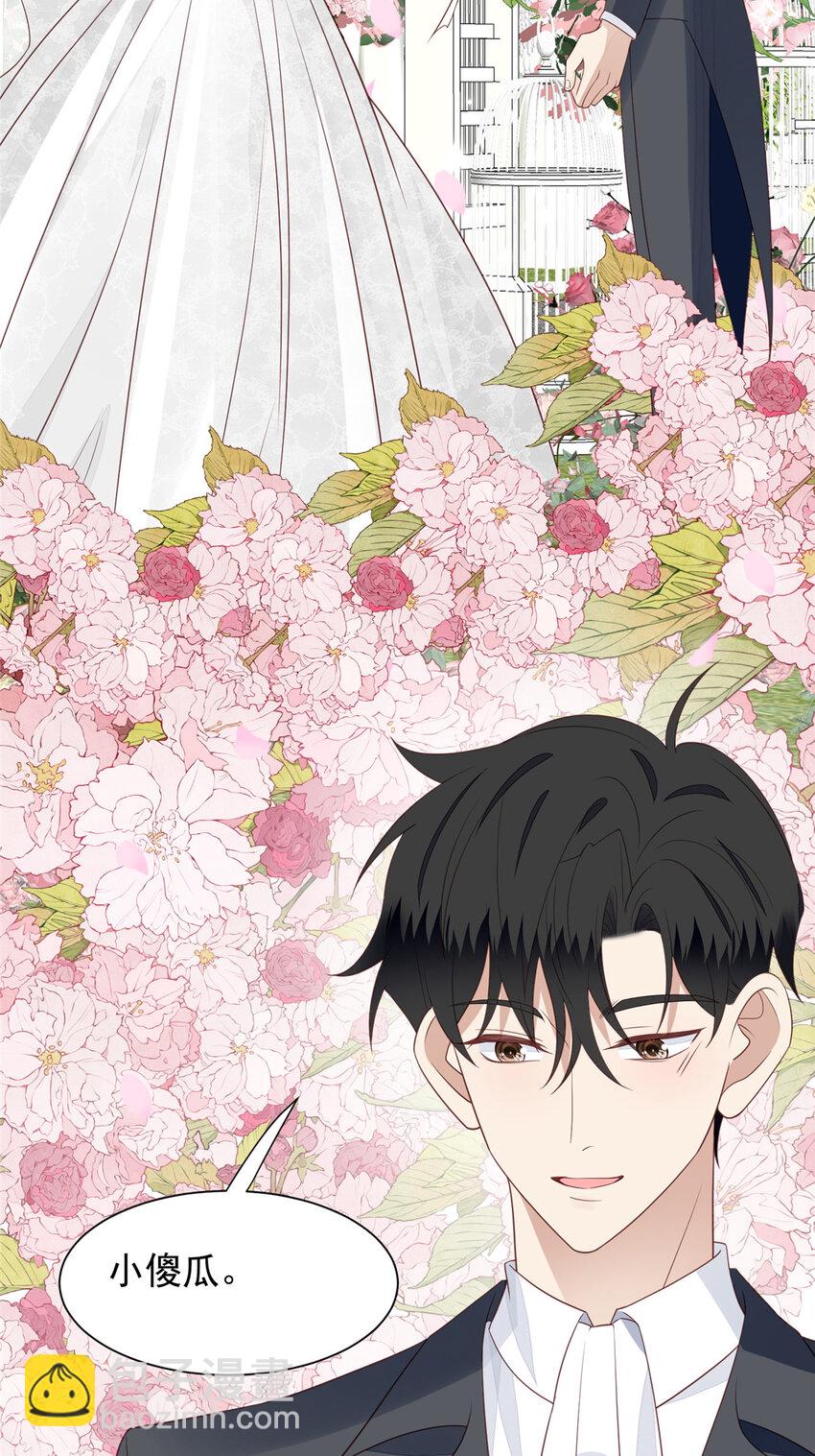 我靠大佬穩住男團C位 - 203 婚禮 - 1