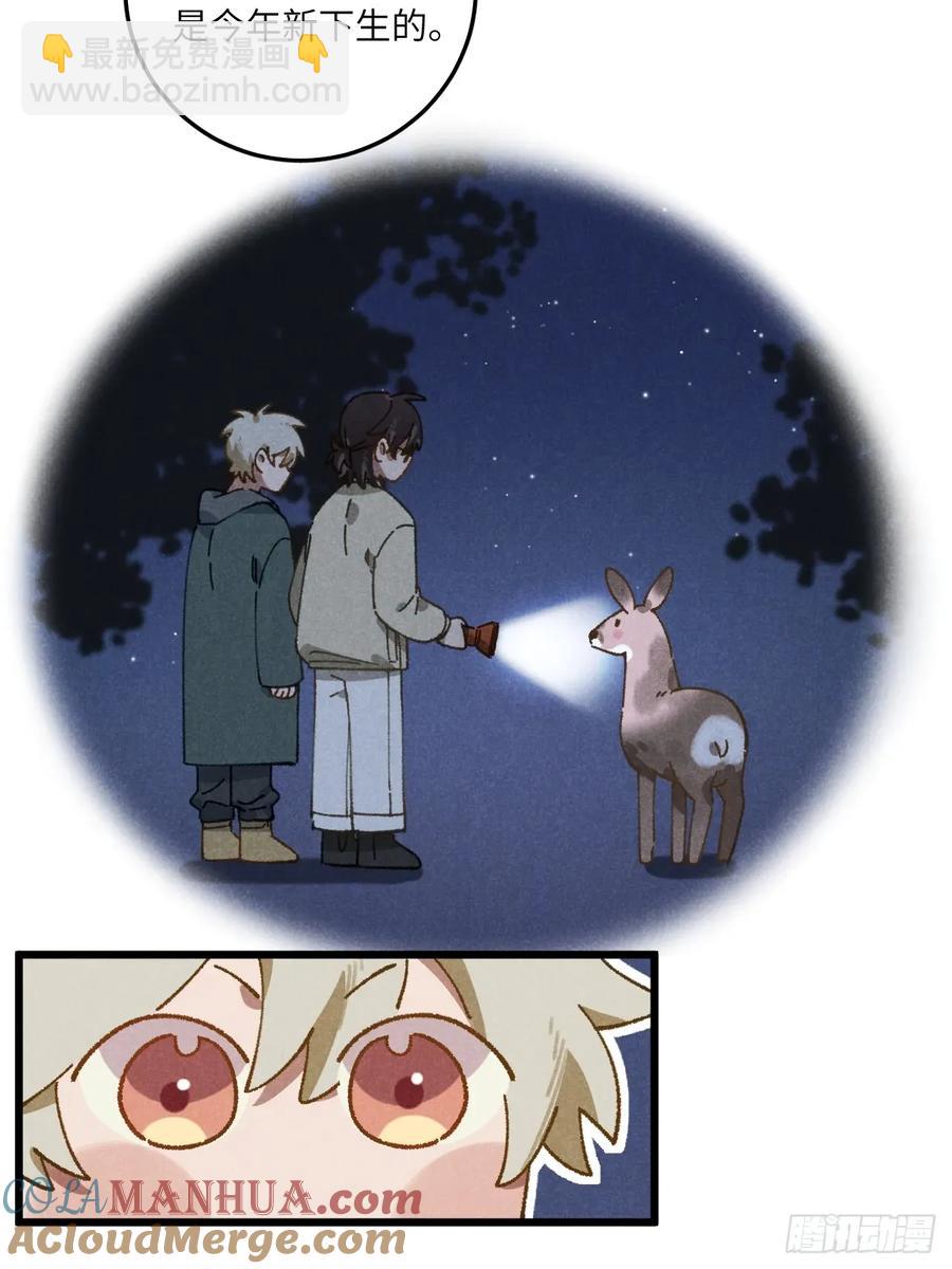 第三十话 是狍子！(1/2)-第32话