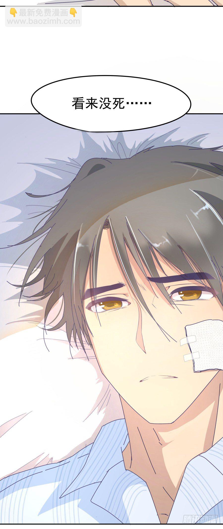 第一话：我才是被撞的吧！(1/2)-第2话