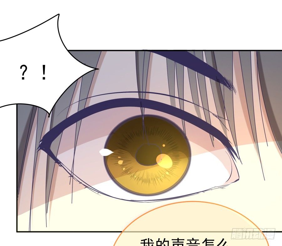 第一话：我才是被撞的吧！(1/2)-第2话