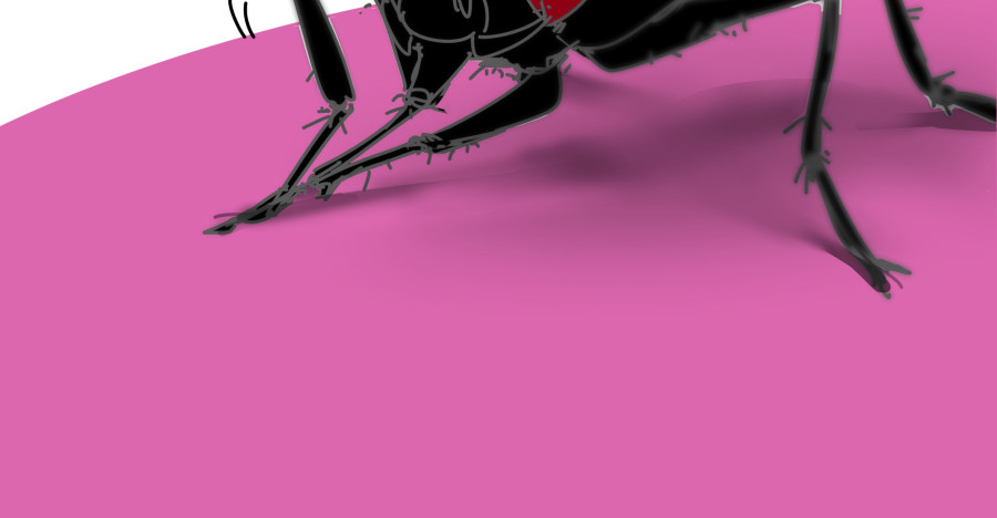 第五话：野鸡，这个也太侮辱人了(1/3)-第6话