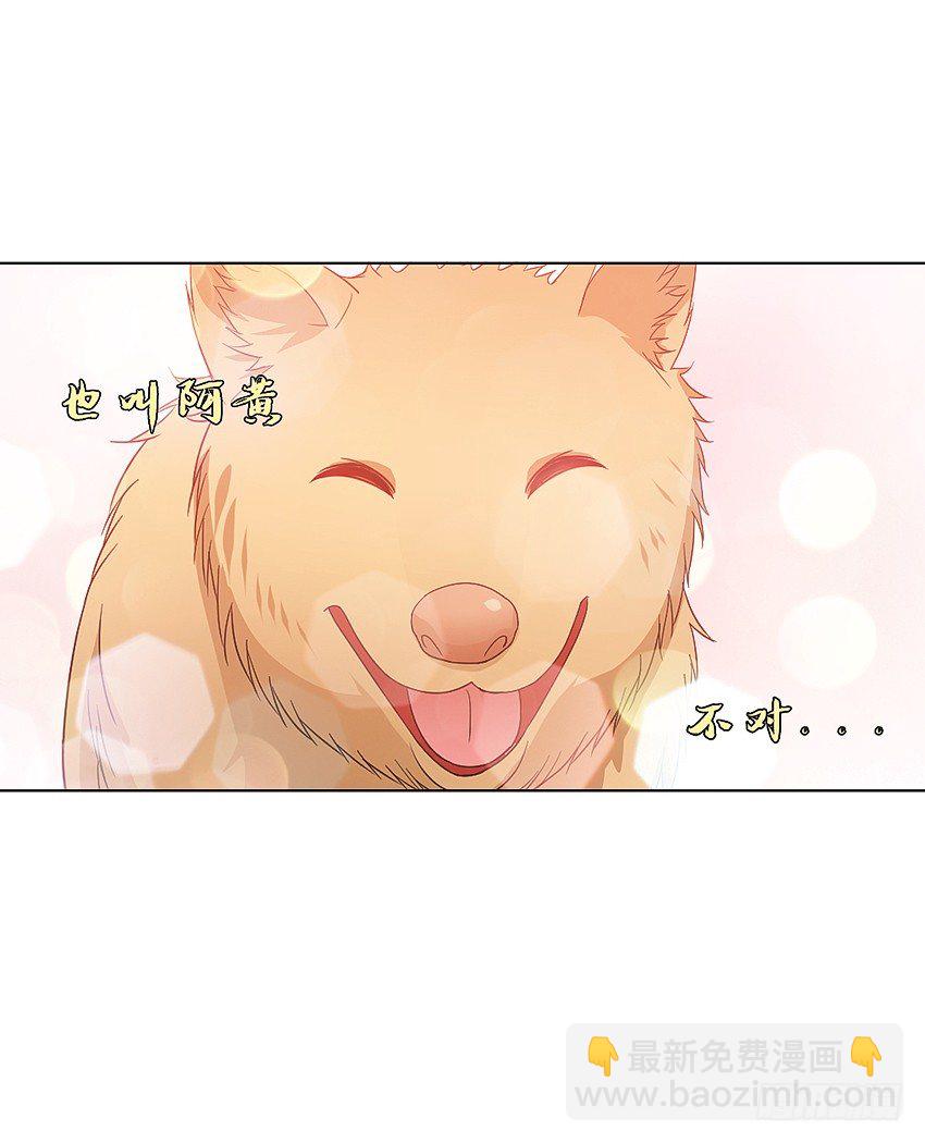 神秘的黑鸟-第22话