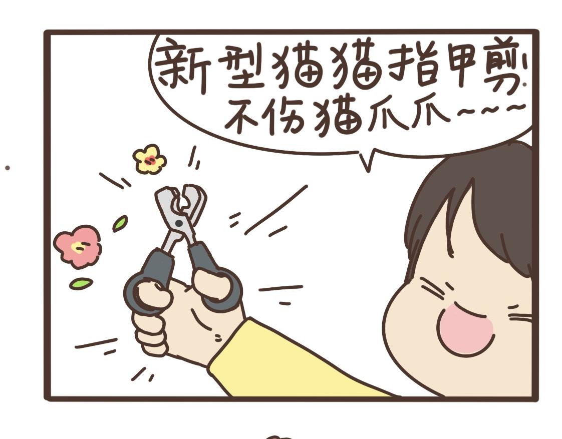 打江山容易-第22话