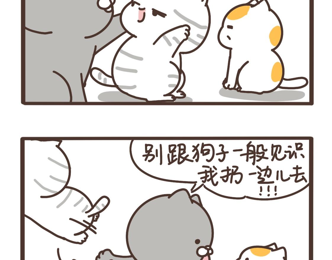 串门的猫-第26话