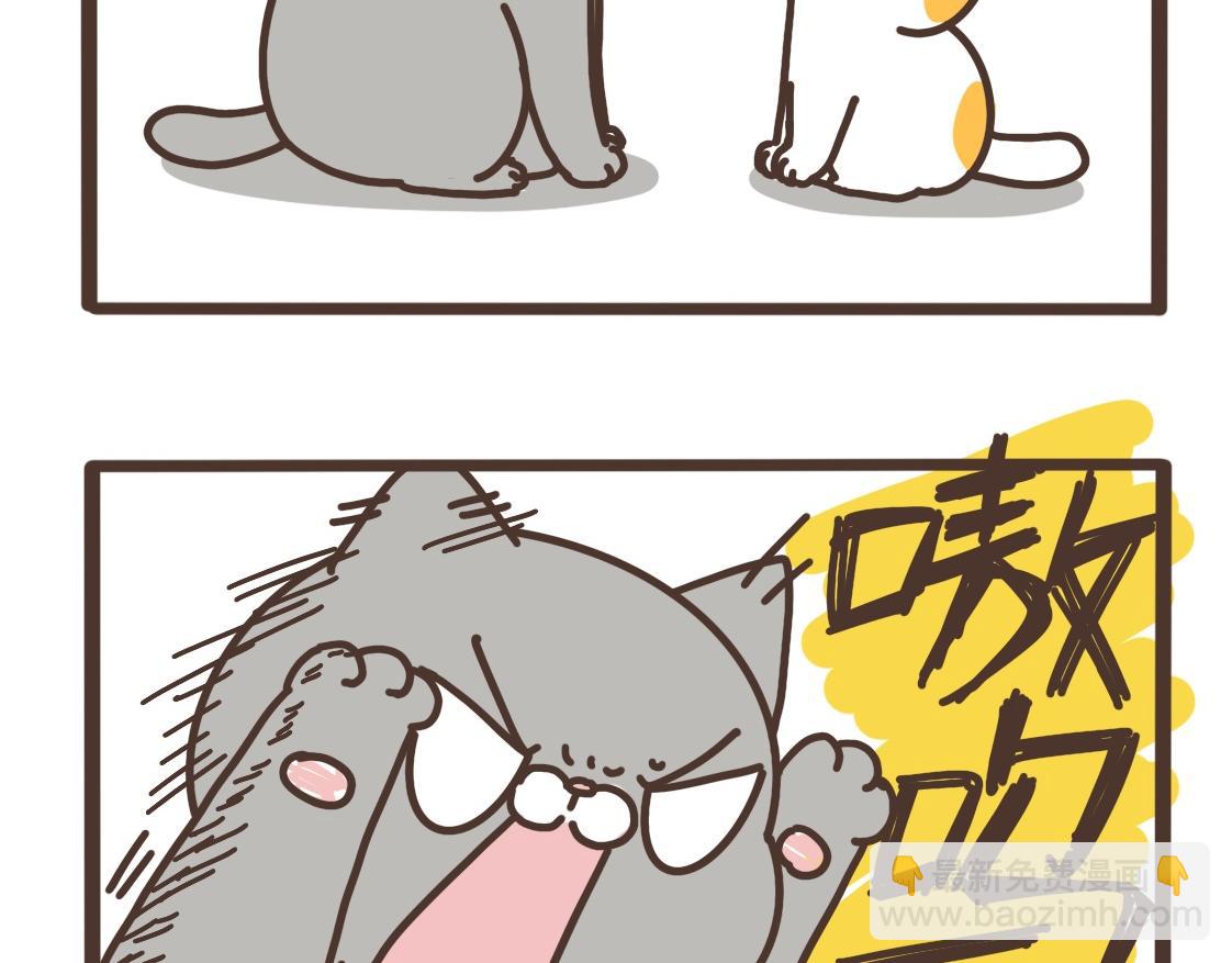 串门的猫-第26话