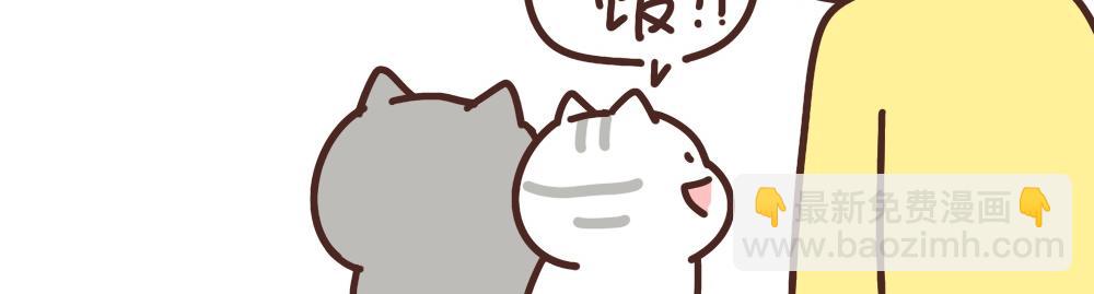 爱吃饭的小猫咪-第38话