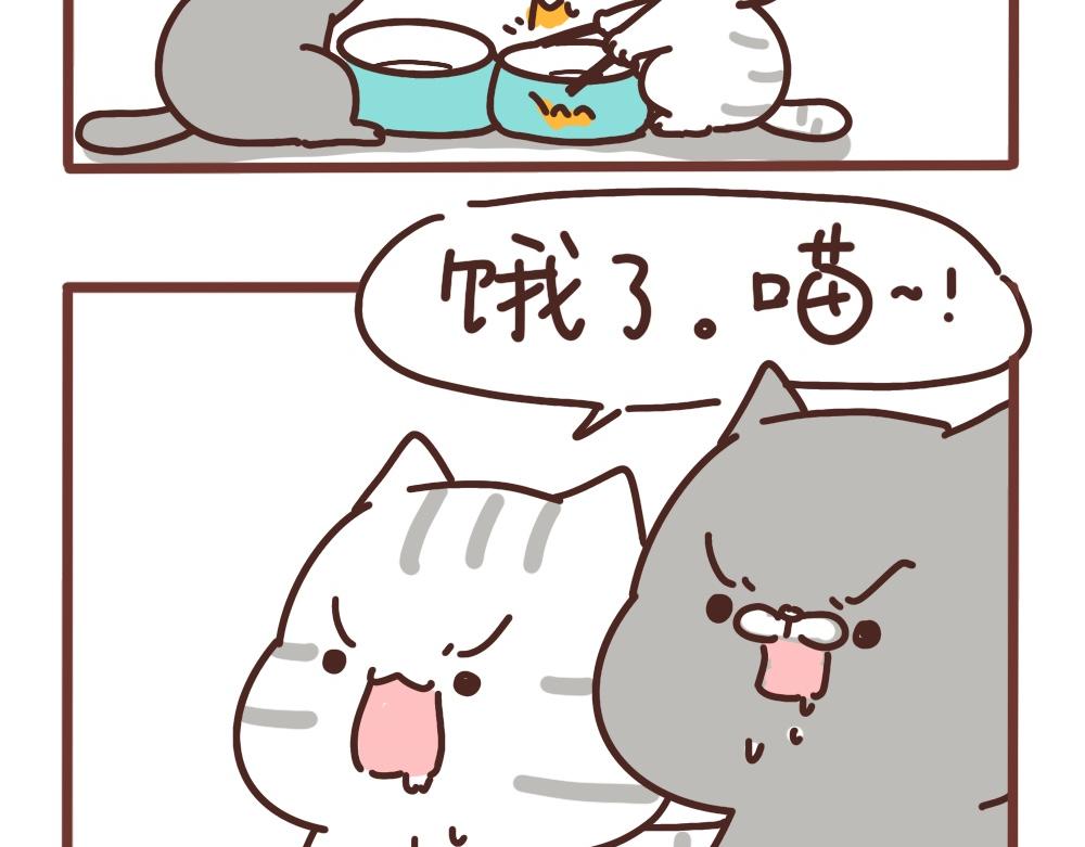 爱吃饭的小猫咪-第38话