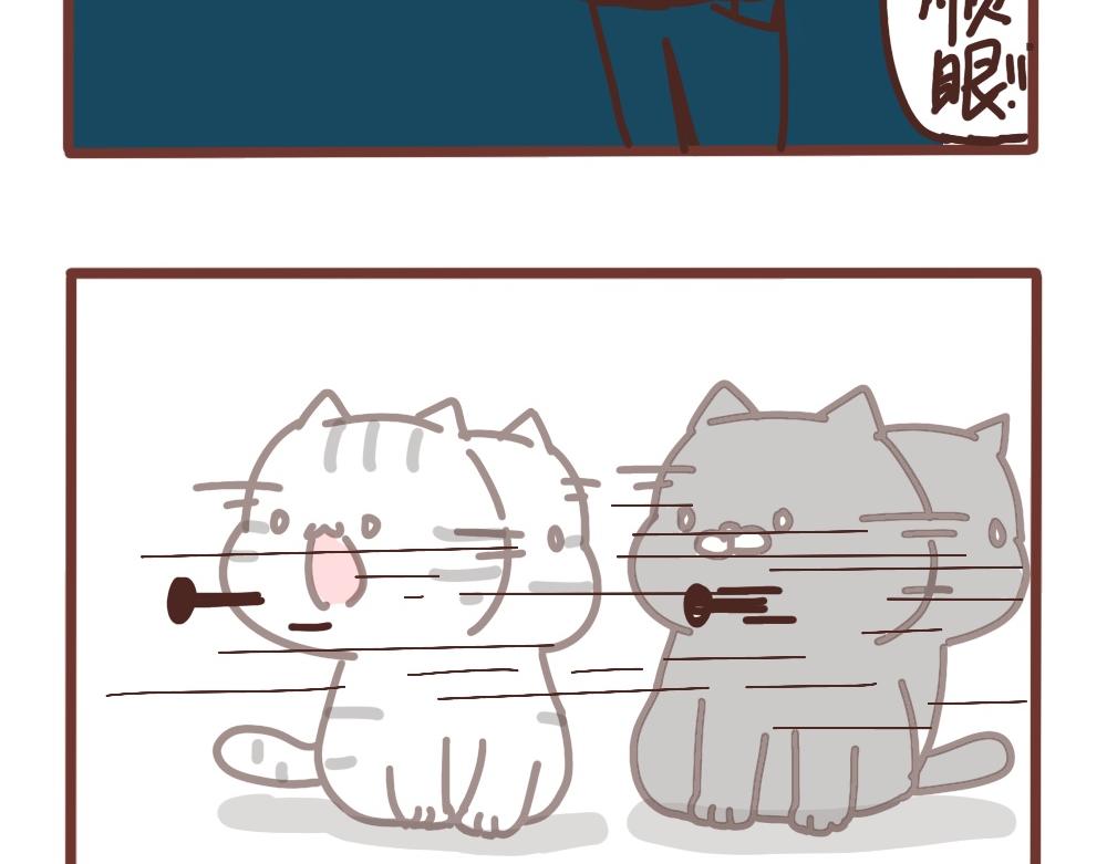 大声训斥小猫咪-第40话