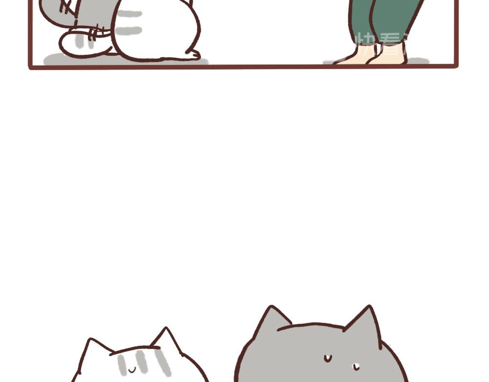 小猫咪棒棒哒-第42话