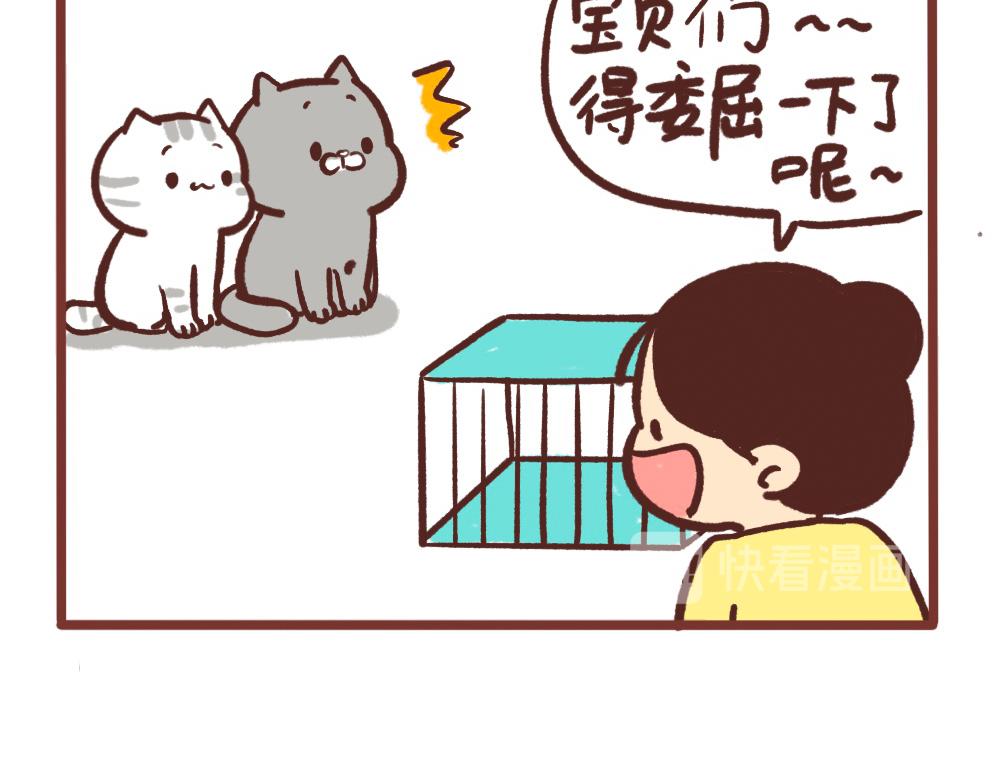 令人头疼的小事-第48话