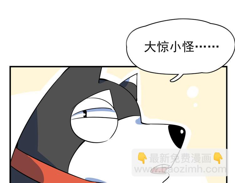 第40话 军犬往事(1/3)-第42话