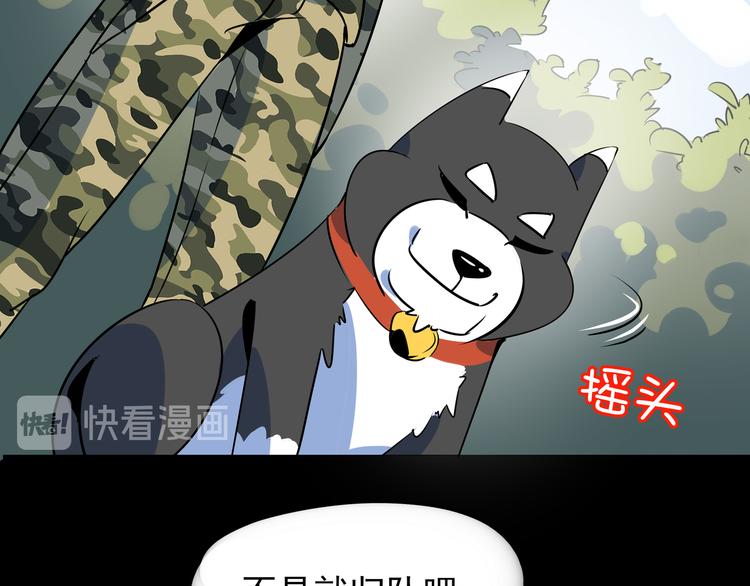 第40话 军犬往事(1/3)-第42话