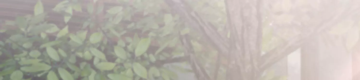 21话 情绪爆发，夺取控制权(1/2)-第22话