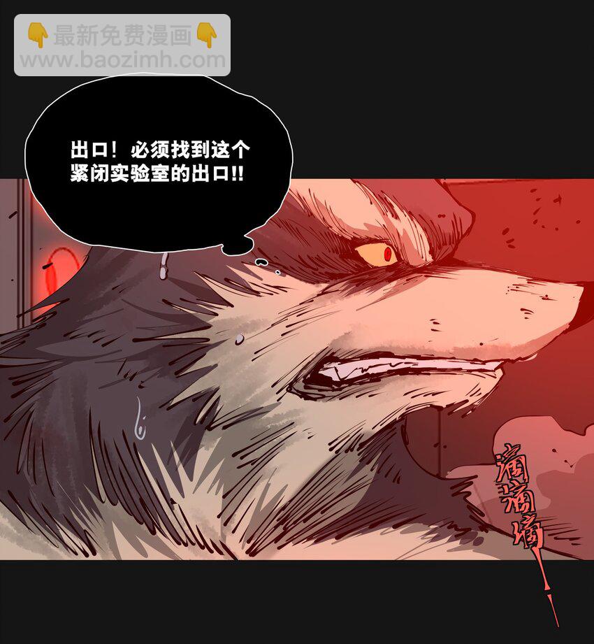 120 柴一(1/2)-第126话