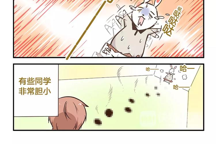 第2话 毛发管理-第2话