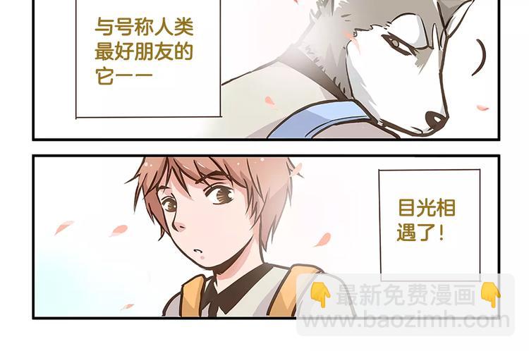 第2话 毛发管理-第2话