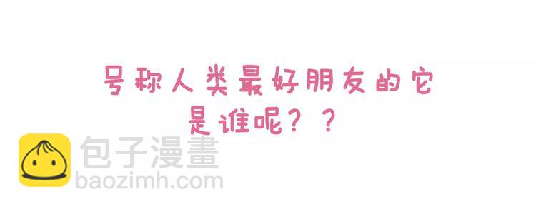 第2话 毛发管理-第2话