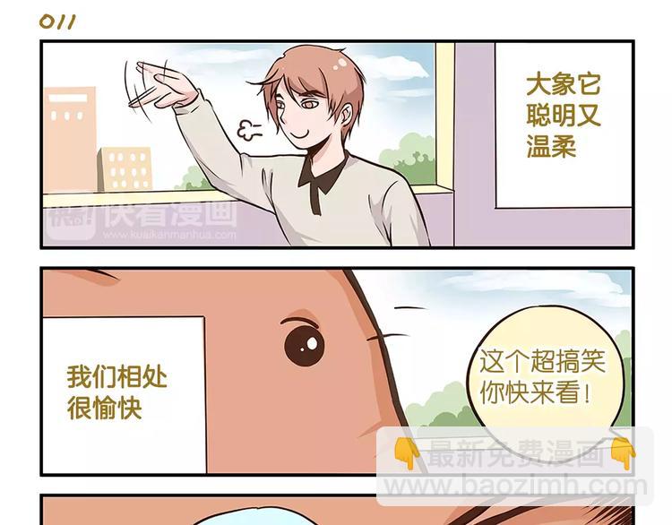 第2话 毛发管理-第2话