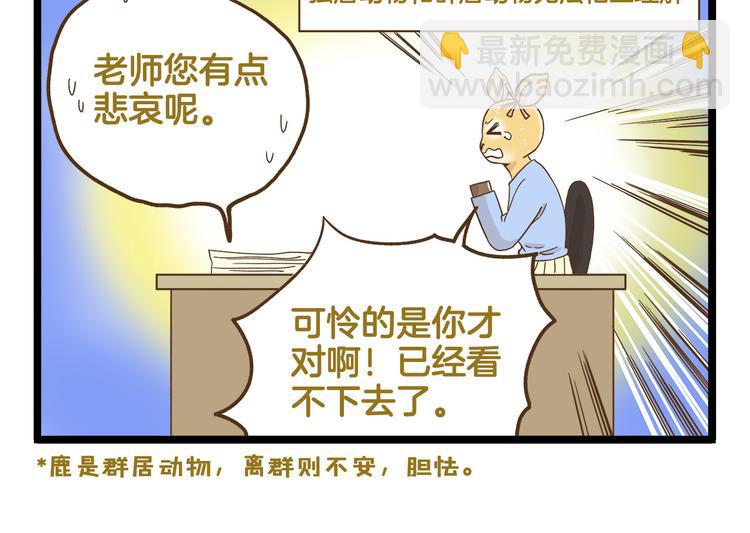 第125话 萌胖-第126话