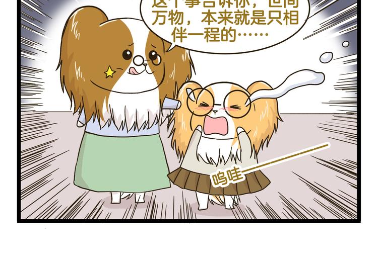 第147话 成长中的离别-第148话