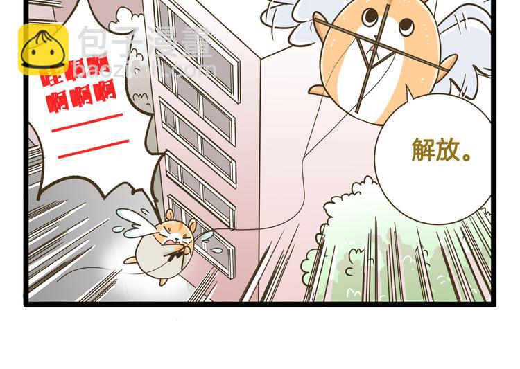 第179话 风筝啊-第180话