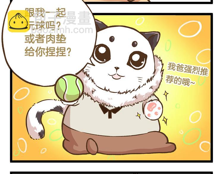 第28话 少女心？-第28话