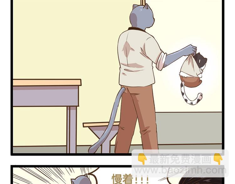 第28话 少女心？-第28话