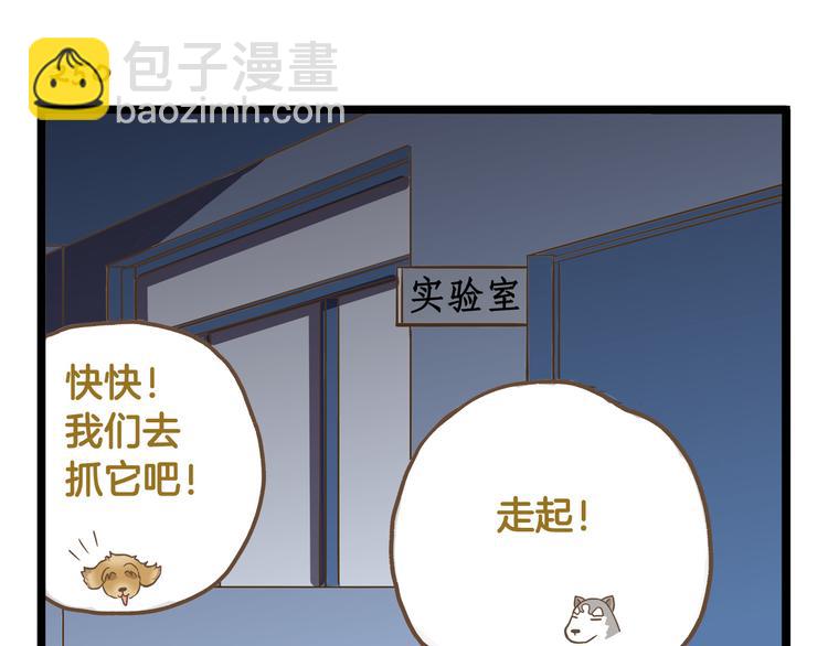 第36话 校园夜话-第36话