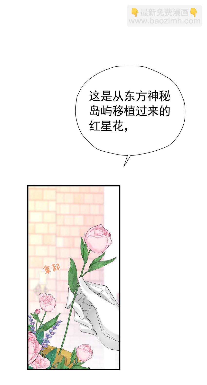 第43话 我要当奥伊芙的丈夫(1/2)-第44话