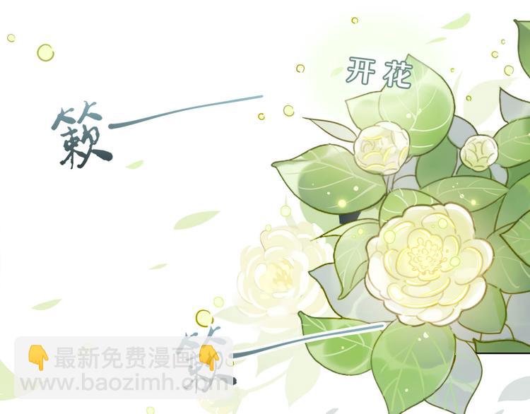 15.荀师弟，你真是引起了我的-第14话