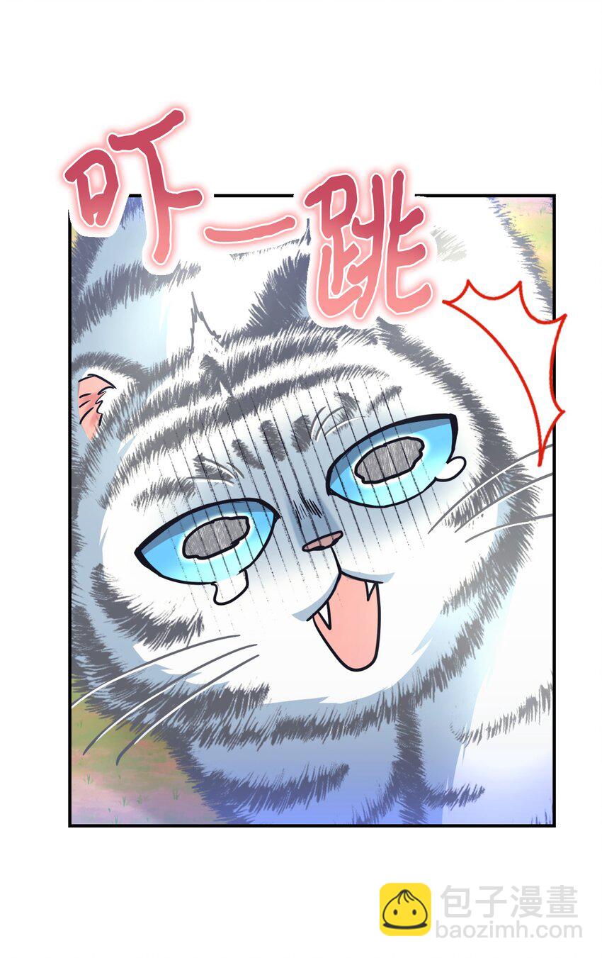 18 管好你的猫(1/2)-第18话